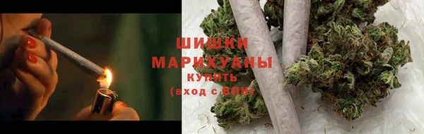 прущие грибы Балахна