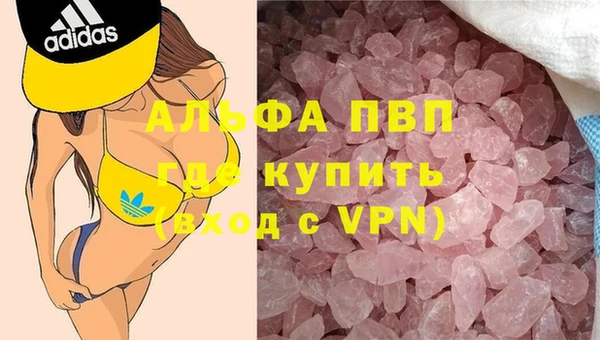 гашик Баксан