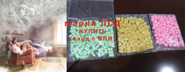 прущие грибы Балахна