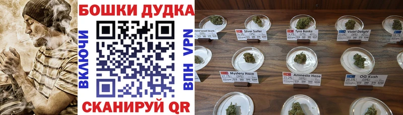 Каннабис ГИДРОПОН  Белокуриха 